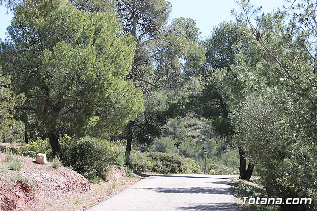 Jornada de convivencia. Hermandades y Cofradas - Sbado 6 de abril de 2013 - 62