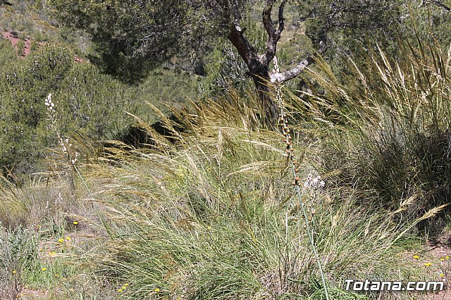 Jornada de convivencia. Hermandades y Cofradas - Sbado 6 de abril de 2013 - 63