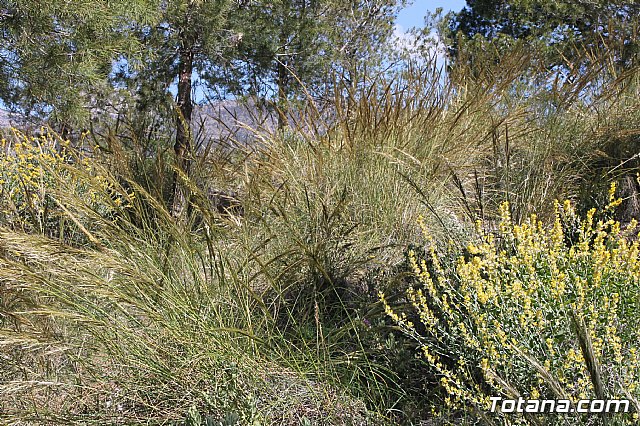 Jornada de convivencia. Hermandades y Cofradas - Sbado 6 de abril de 2013 - 64