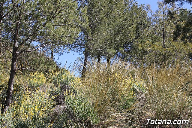 Jornada de convivencia. Hermandades y Cofradas - Sbado 6 de abril de 2013 - 65