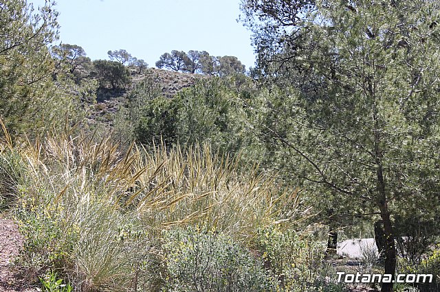 Jornada de convivencia. Hermandades y Cofradas - Sbado 6 de abril de 2013 - 66