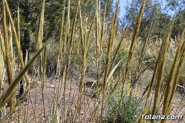 Jornada de convivencia. Hermandades y Cofradas - Sbado 6 de abril de 2013 - 67