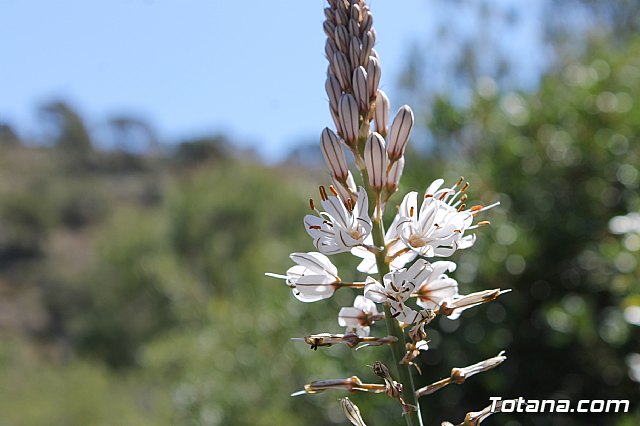 Jornada de convivencia. Hermandades y Cofradas - Sbado 6 de abril de 2013 - 71