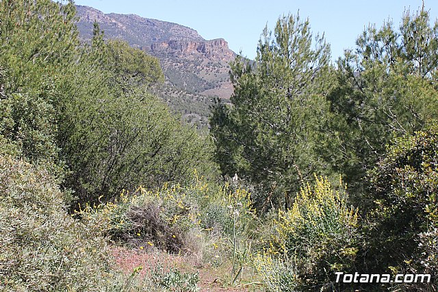 Jornada de convivencia. Hermandades y Cofradas - Sbado 6 de abril de 2013 - 72