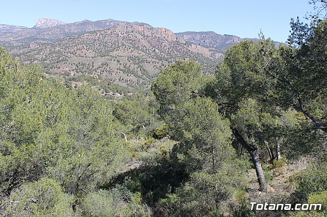 Jornada de convivencia. Hermandades y Cofradas - Sbado 6 de abril de 2013 - 75