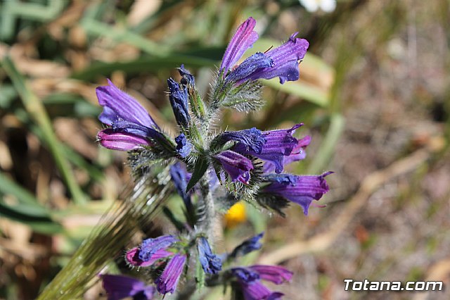Jornada de convivencia. Hermandades y Cofradas - Sbado 6 de abril de 2013 - 82