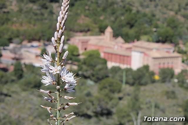 Jornada de convivencia. Hermandades y Cofradas - Sbado 6 de abril de 2013 - 83