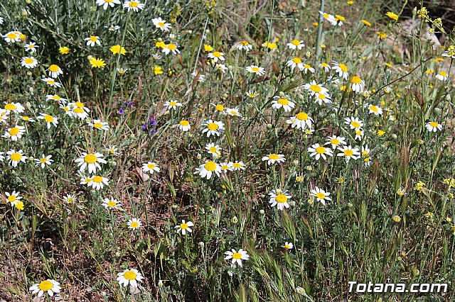 Jornada de convivencia. Hermandades y Cofradas - Sbado 6 de abril de 2013 - 126