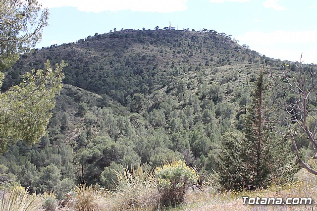 Jornada de convivencia. Hermandades y Cofradas - Sbado 6 de abril de 2013 - 227