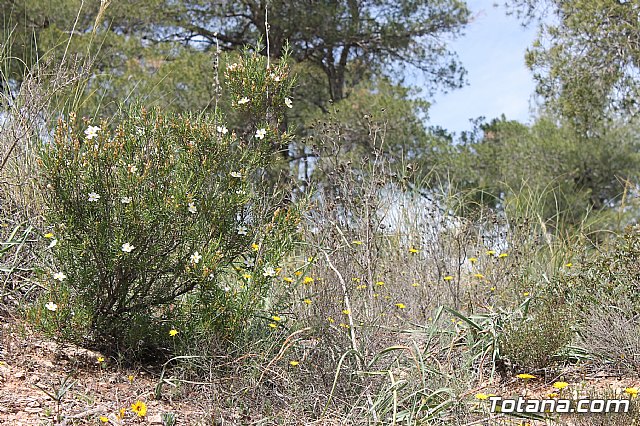 Jornada de convivencia. Hermandades y Cofradas - Domingo 7 de abril de 2013 - 62