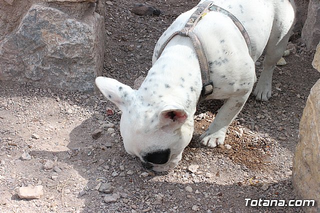 Jornada de convivencia. Hermandades y Cofradas - Domingo 7 de abril de 2013 - 129