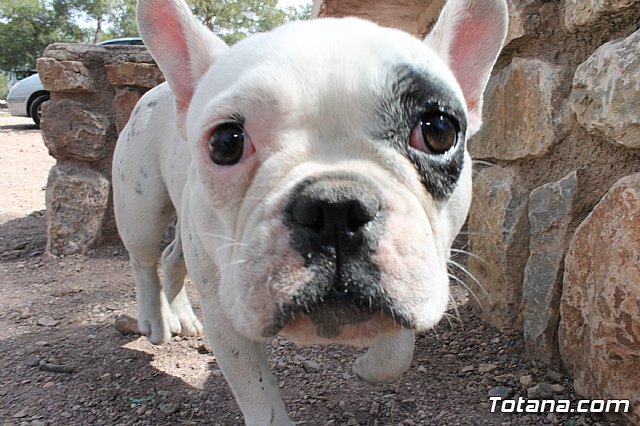 Jornada de convivencia. Hermandades y Cofradas - Domingo 7 de abril de 2013 - 130