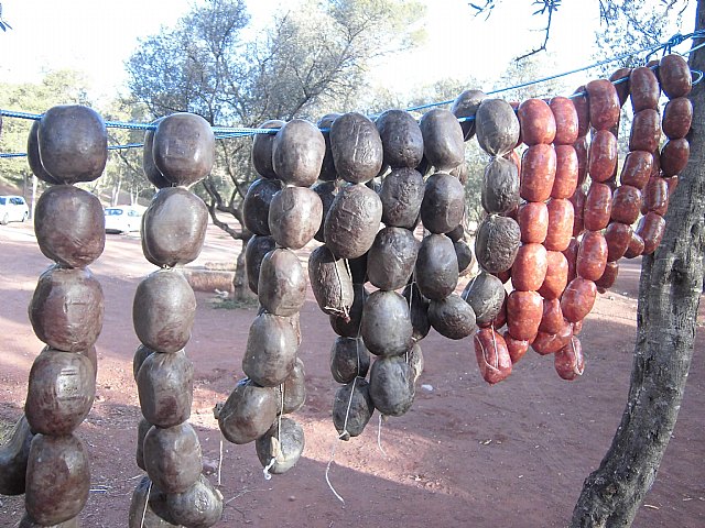Jornada de convivencia. Hermandades y Cofradas - Domingo 7 de abril de 2013 - 220