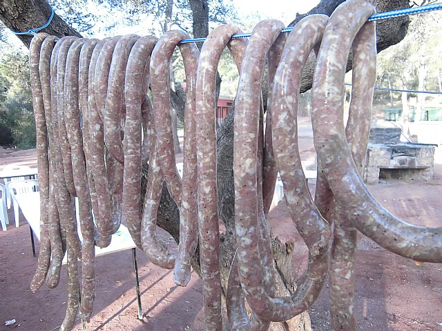 Jornada de convivencia. Hermandades y Cofradas - Domingo 7 de abril de 2013 - 221