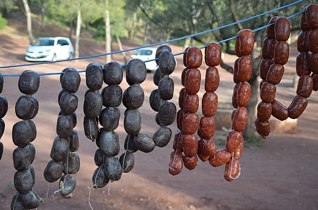 Jornada de convivencia. Hermandades y Cofradas - Domingo 7 de abril de 2013 - 240