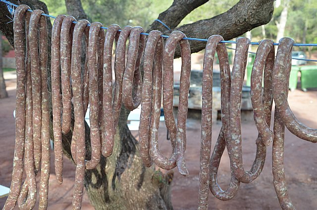 Jornada de convivencia. Hermandades y Cofradas - Domingo 7 de abril de 2013 - 241