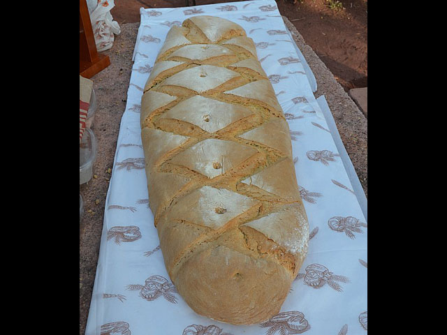 Jornada de convivencia. Hermandades y Cofradas - Domingo 7 de abril de 2013 - 247