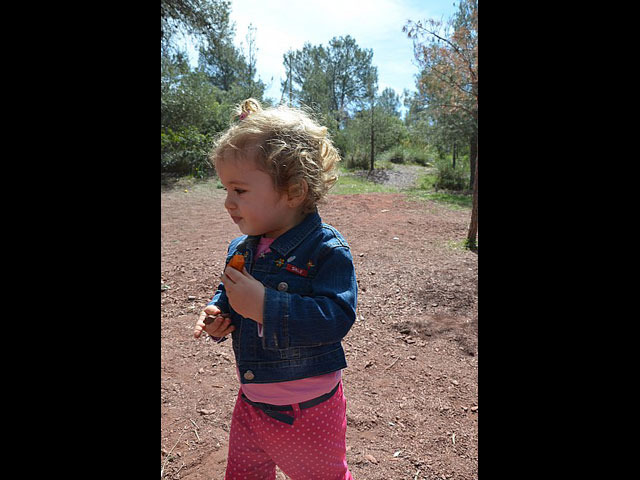 Jornada de convivencia. Hermandades y Cofradas - Domingo 7 de abril de 2013 - 280