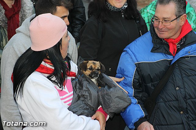 Romera Santa Eulalia. 8 diciembre 2013 - Reportaje I - 240
