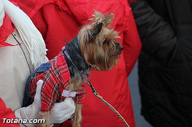 Romera Santa Eulalia. 8 diciembre 2013 - Reportaje I - 348