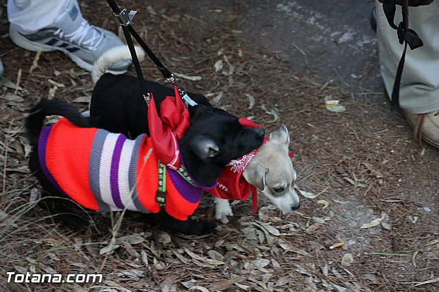 Romera Santa Eulalia. 8 diciembre 2013 - Reportaje I - 353