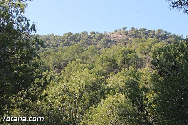 Romera Santa Eulalia. 8 diciembre 2013 - Reportaje I - 410