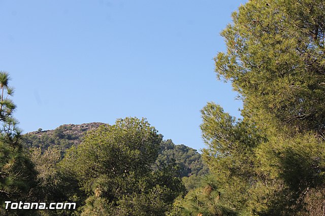 Romera Santa Eulalia. 8 diciembre 2013 - Reportaje I - 427