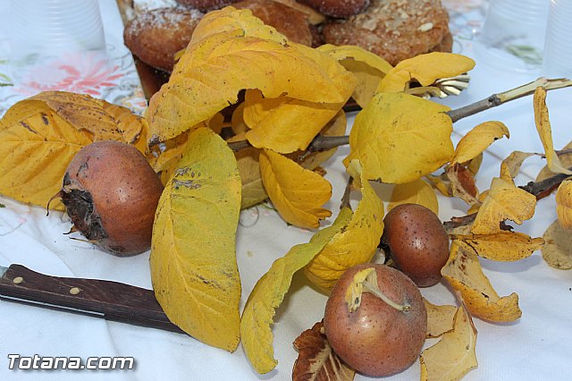 Romera Santa Eulalia. 8 diciembre 2013 - Reportaje I - 443