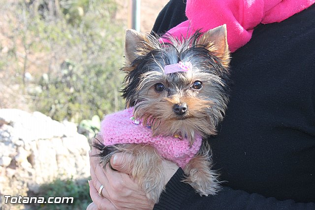 Romera Santa Eulalia. 8 diciembre 2013 - Reportaje I - 619