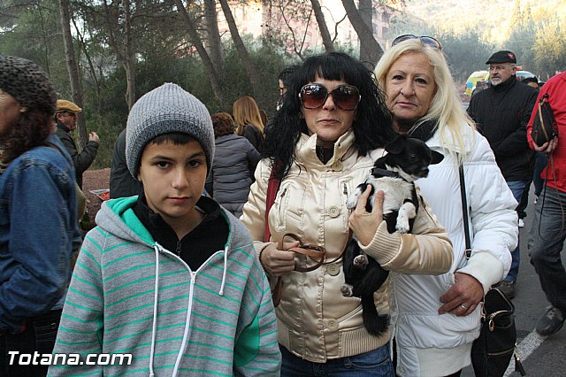 Romera Santa Eulalia. 8 diciembre 2013 - Reportaje II - 247