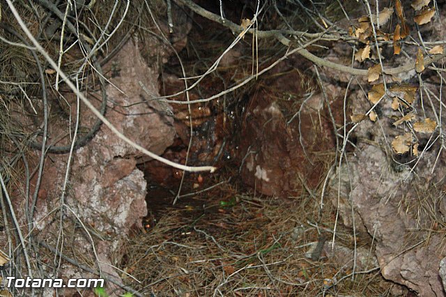 Romera Santa Eulalia. 8 diciembre 2013 - Reportaje II - 251