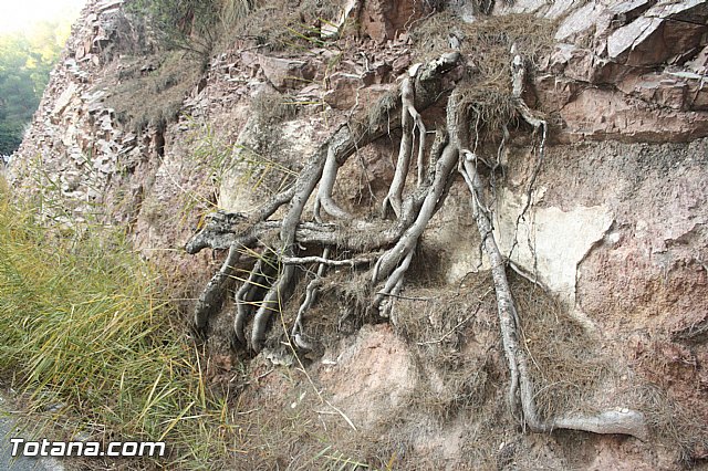 Romera Santa Eulalia. 8 diciembre 2013 - Reportaje II - 253