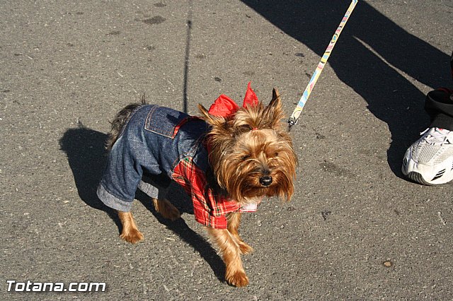 Romera Santa Eulalia. 8 diciembre 2013 - Reportaje II - 365