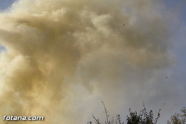 Romera Santa Eulalia. 8 diciembre 2013 - Reportaje II - 451