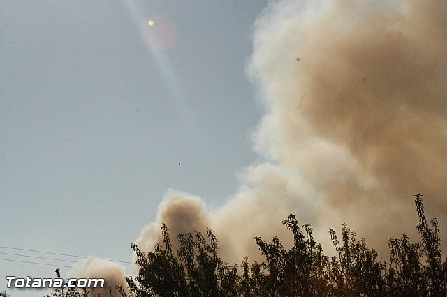 Romera Santa Eulalia. 8 diciembre 2013 - Reportaje II - 456