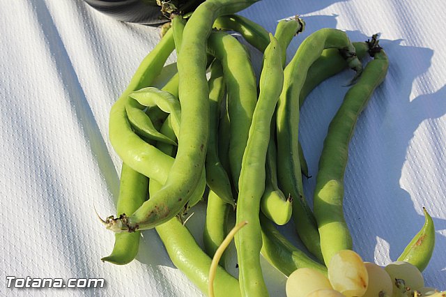 Cuadrillas - Navidad 25 diciembre 2015 - 259