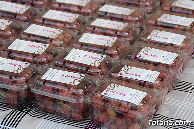 Carrera Popular Fiestas de Santiago 2019 (Reportaje I) - 3