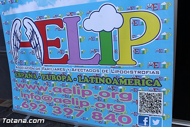 AELIP entrega sus premios 2015 - 6