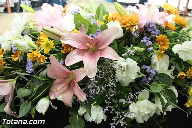 AELIP entrega sus premios 2015 - 17