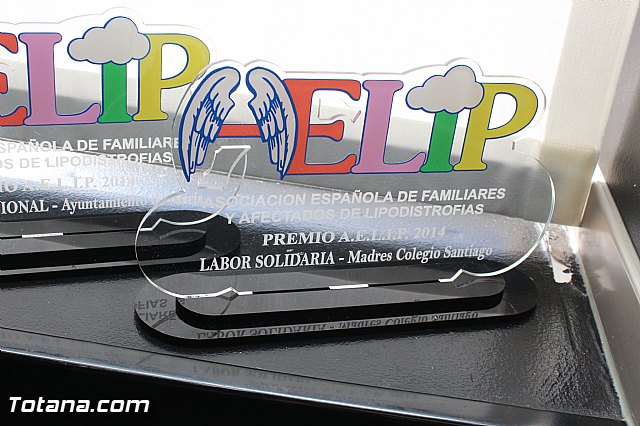 AELIP entrega sus premios 2015 - 21