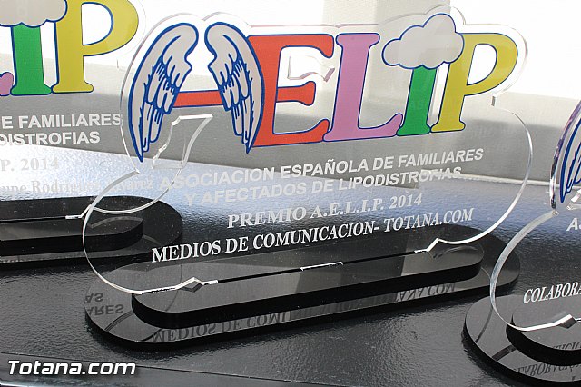 AELIP entrega sus premios 2015 - 22