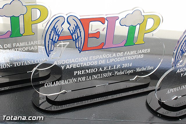AELIP entrega sus premios 2015 - 23