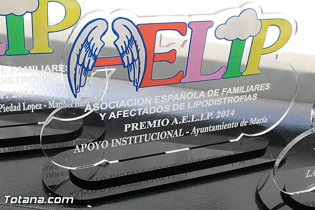 AELIP entrega sus premios 2015 - 24