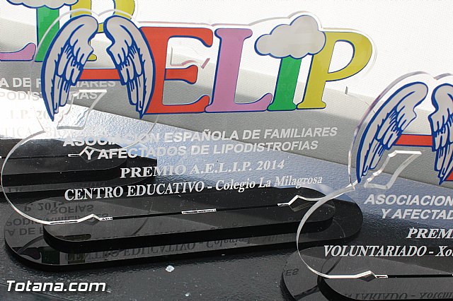 AELIP entrega sus premios 2015 - 26