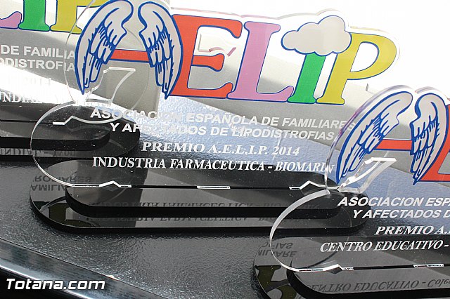 AELIP entrega sus premios 2015 - 27