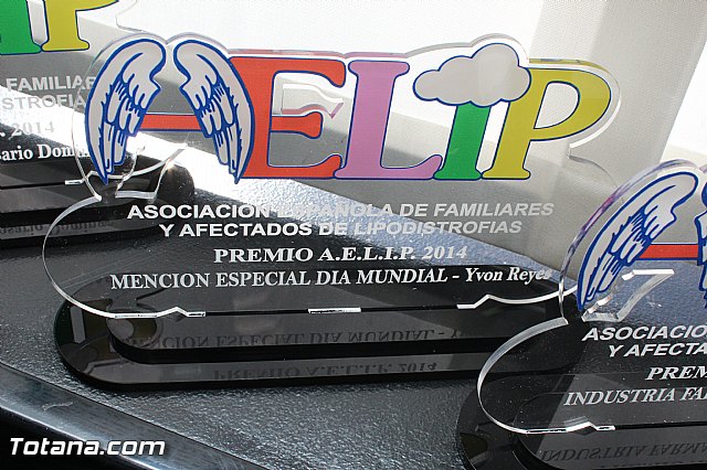 AELIP entrega sus premios 2015 - 28