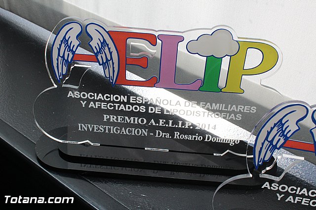 AELIP entrega sus premios 2015 - 29