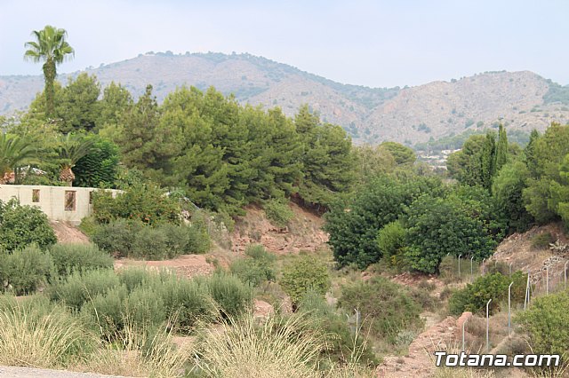 Marcha solidaria AFACMUR - 460