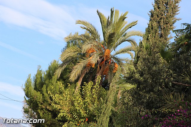 Marcha solidaria AFACMUR - 188