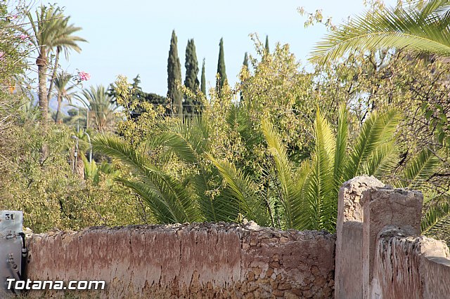 Marcha solidaria AFACMUR - 193